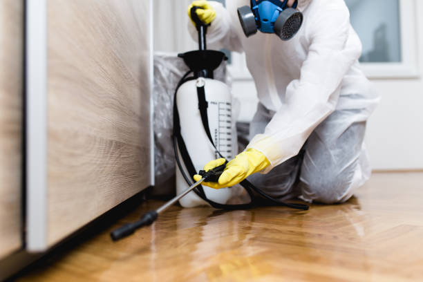 Trusted Brass Castle, NJ Pest Control Experts