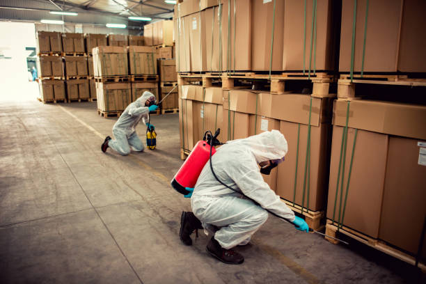 Best Local Pest Control Services  in Brass Castle, NJ