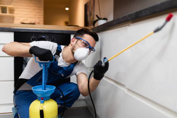 Best Local Pest Control Services  in Brass Castle, NJ