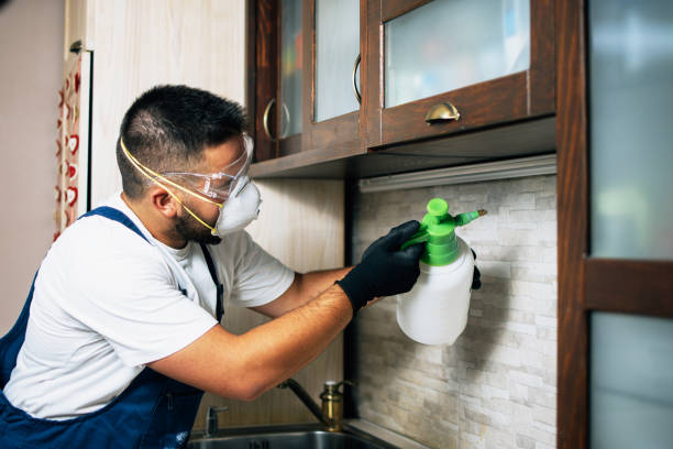 Best Affordable Pest Control Services  in Brass Castle, NJ