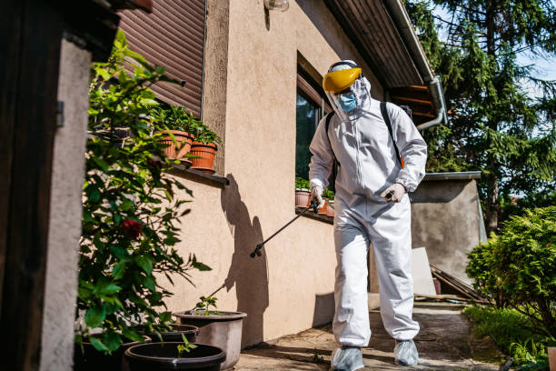 Wasp Removal Services in Brass Castle, NJ