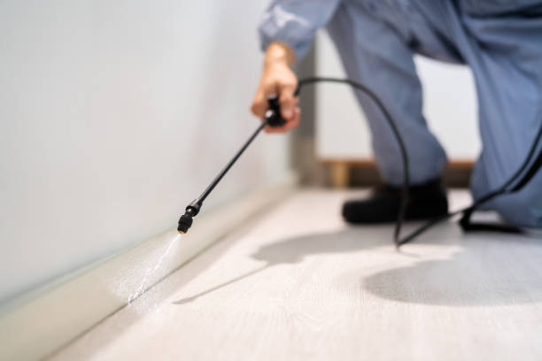 Best Pest Control for Restaurants  in Brass Castle, NJ