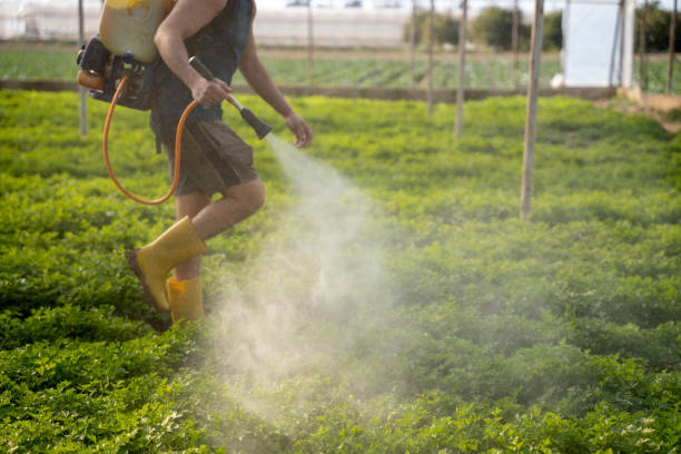 Best Mosquito Control Services  in Brass Castle, NJ