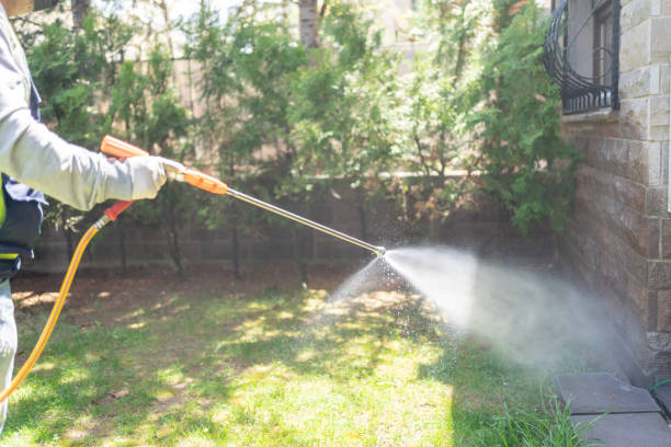 Best Wasp Removal Services  in Brass Castle, NJ