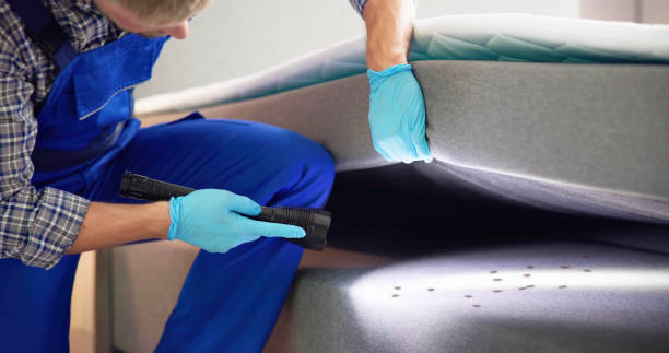 Wasp Removal Services in Brass Castle, NJ