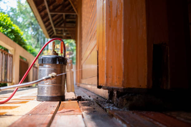 Best Ant Control Services  in Brass Castle, NJ