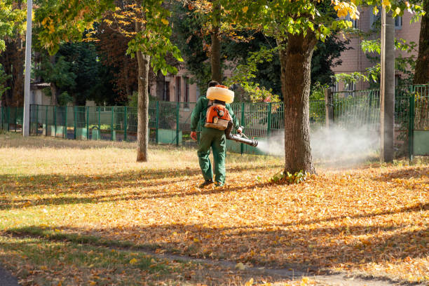 Best Pest Control Near Me  in Brass Castle, NJ