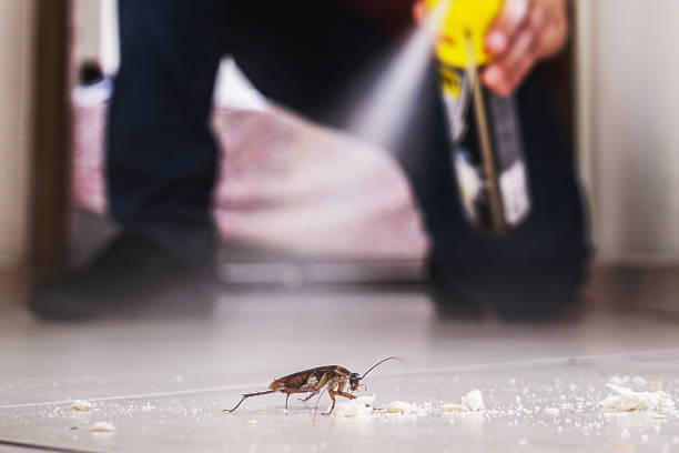 Pest Prevention Services in Brass Castle, NJ