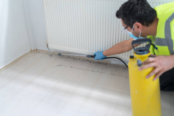 Best Termite Control Services  in Brass Castle, NJ