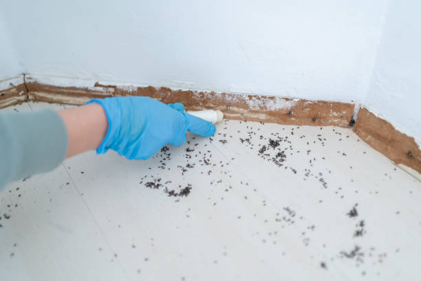 Best Residential Pest Control  in Brass Castle, NJ